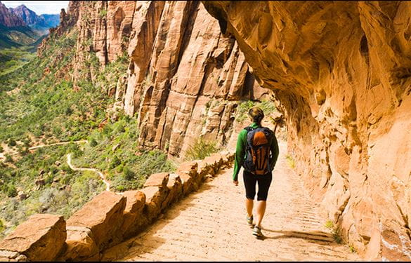 A lone hiker walking a path in Zion National Park