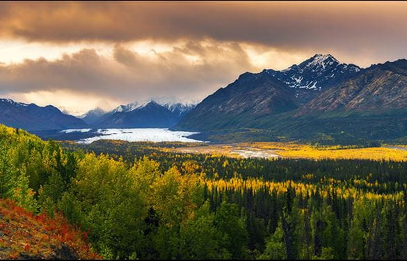 Panoramic view of Alaskan wilderness in the fall