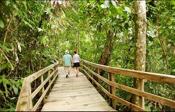Couple walking a wooden bridge in the forest